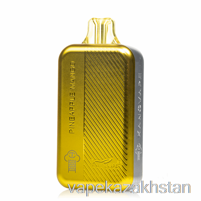 Vape Disposable Kangvape TC8000 Disposable Pineapple Mango